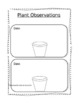 Seed Science Activities & Worksheets by The Urban Ms. Frizzle | TpT