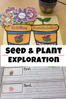 Seed and Plant Exploration by Rochel Koval | Teachers Pay Teachers