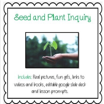 Preview of Seed and Plant Inquiry - Google Slides