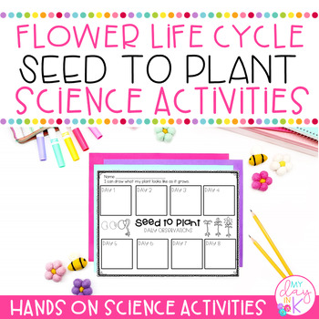 Preview of Seed to Plant Activities | Flower Life Cycle