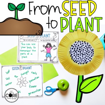 Preview of Seed to Plant Lessons - Plant Life Cycle - Nonfiction Reading Comprehension