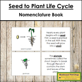 Seed to Plant Life Cycle Book - Montessori Nomenclature