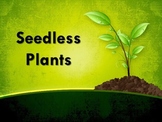 Seedless Plants PowerPoint