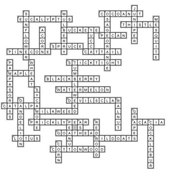 Seeds Crossword Puzzles by Ah Ha Lessons TPT