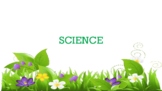 Seeds & Fruits Science