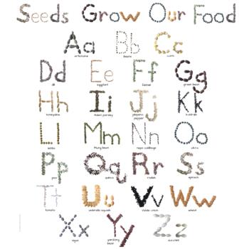 Preview of Seeds Grow our Food Printable Poster | Seed Alphabet | Phonetic Alphabet