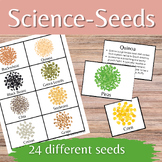 Seeds Information Cards and Matching Game for Homeschool a