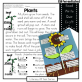 Seeds Sprouts Flowers- Literacy and Craft