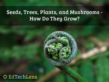 Preview of Trees, Seeds, Flowers, Plants, and Mushrooms - How Do They Grow? Unit PDF