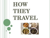Seeds and How they Travel PowerPoint