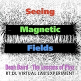 Seeing Magnetic Fields [Virtual Lab Experiment]