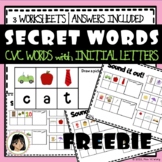 Segmenting and Blending CVC Secret Words - Beginning Sound