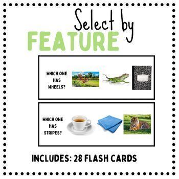 Preview of Select by Feature - Task Cards