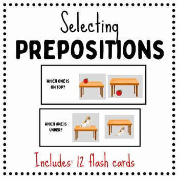 Preview of Selecting Prepositions Flash Cards