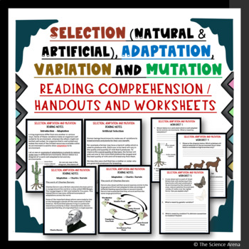 Preview of Selection Natural, Artificial, Adaptation, Variation, Mutation Notes, Worksheets
