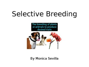 Selective Breeding Ppt Teaching Resources | TPT