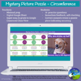 Self-Checking Digital Mystery Puzzle Picture - Math - Circ