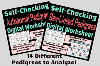 Preview of Self-Checking Digital Worksheet Genetics Pedigree Bundle!
