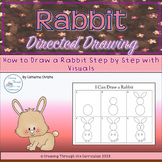 Self-Directed Drawing- Rabbit