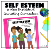 Self Esteem Individual Counseling Curriculum