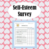 Self-Esteem Survey
