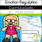 Emotion Regulation Counseling Group and Activities