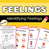 Self-Regulation: Identify Feelings and Emotions worksheets