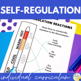 Self-Regulation Individual Counseling Curriculum + Data Tracking Tools