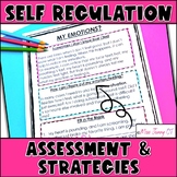 Self Regulation Interoception Assessment and Strategies Wo