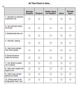 Preview of Self-Report Anxiety Questionnaire