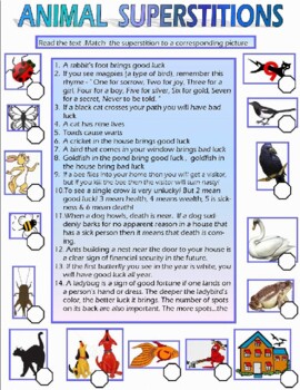 Preview of Animal Superstition Worksheet