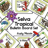 Selva Tropical / Rainforest Colorful Bulletin Board Set!