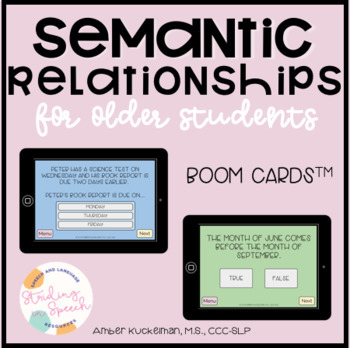 Preview of Semantic Relationships for Older Students: Speech Therapy