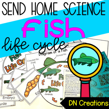 Preview of Fish Life Cycle l All about Fish | Fish Science Activity