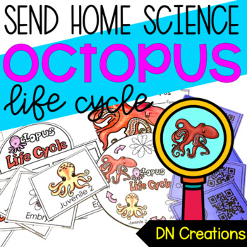 Preview of Octopus Life Cycle l All about Octopus l Ocean Animal Unit on Octopus