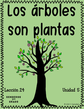 Senderos 1st Grade Unit 5 Lesson 24 Los árboles son plantas | TPT