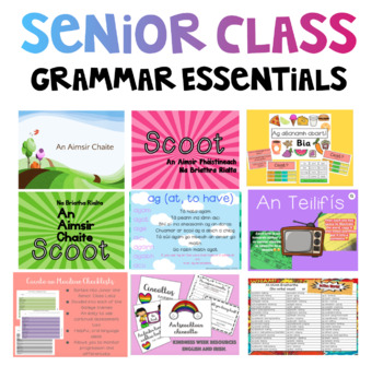 Preview of Senior Grammar Must Haves!