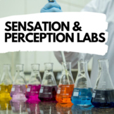 Sensation & Perception Labs (Worksheet Included) *Editable