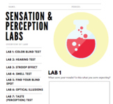 Sensation & Perception Lab Worksheet