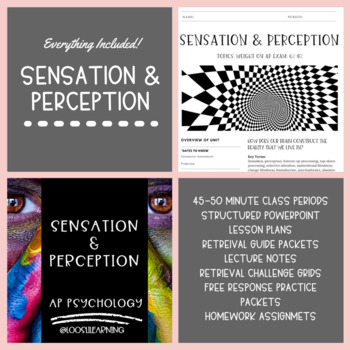 Preview of Sensation & Perception Unit Bundle (45-50 Minute Periods)