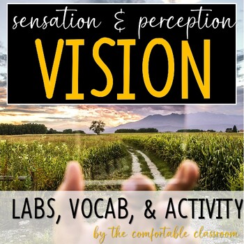 Preview of Sensation & Perception: Vision Vocabulary, Lab, & Activity