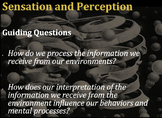 Sensation and Perception - AP Psychology BIG BUNDLE