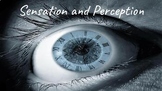 Sensation and Perception BUNDLE (AP Psychology)