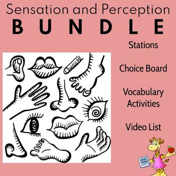 Preview of Sensation and Perception BUNDLE (AP Psychology) **20% Discount**