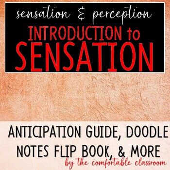 Preview of Sensation and Perception: Introduction to Sensation