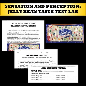 Preview of Sensation and Perception:  Jelly Bean Taste Test Lab