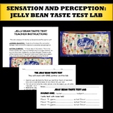 Sensation and Perception:  Jelly Bean Taste Test Lab