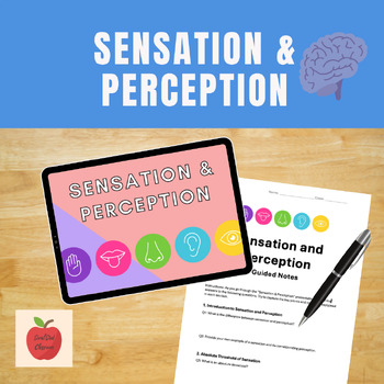 Preview of Sensation and Perception Introduction- Lesson and Guided Notes
