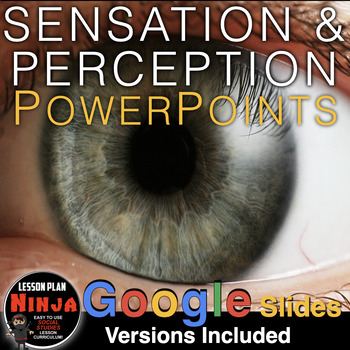 Preview of Sensation & Perception PowerPoint / Google Slides, Guided Notes, (Psychology)