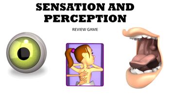 Preview of Sensation and Perception PowerPoint Review Game for Psychology